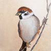 Musje - 2011 * Acryl op doek - 12x10