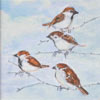 4 Mussen - 2013 * Acryl op paneel - 11x8 inclusief lijst