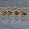 4 Strandlopertjes - 2009 * Acryl op doek - 15x15