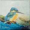 IJsvogeltje - 2008 * Acryl op doek/3D - 15x15