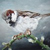Jonge Mus - 2008 * Acryl op doek - 12x10