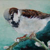 Musje op tak - 2010 * Acryl op doek - 10x12