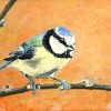 Pimpelmees- 2010 * Acryl op doek canvaskarton - 12x16