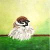 Ringmusje - 2010 * Acryl op doek - 15x15