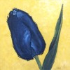 Gele tulp - 2006 <br /> Acryl op doek - 80x80