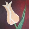 Tulp II - 2007 * Acryl op doek - 80x80