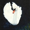 Witte Zwaan III - 2010 * Acryl op doek - 12x10