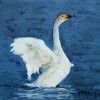 Witte Zwaan I - 2010 * Acryl op doek - 15x15