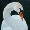 Witte Zwaan II - 2010 * Acryl op doek - 15x15