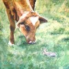 Konijn en Koe - 2006 * Aquarel op papier - 40x50