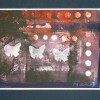 Vlinders - 2007 * Blockprint op papier - 25x15