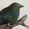 Vogeltje - 2009