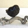 Zwart vogeltje op tak (voorzijde) - 2010 * Keramiek - 5 cm hoog