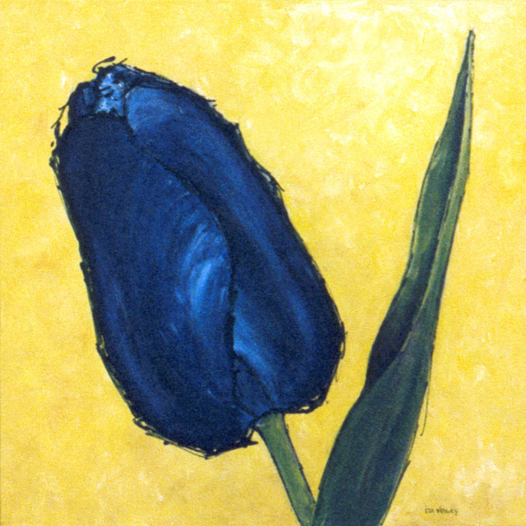 Blauwe Tulp